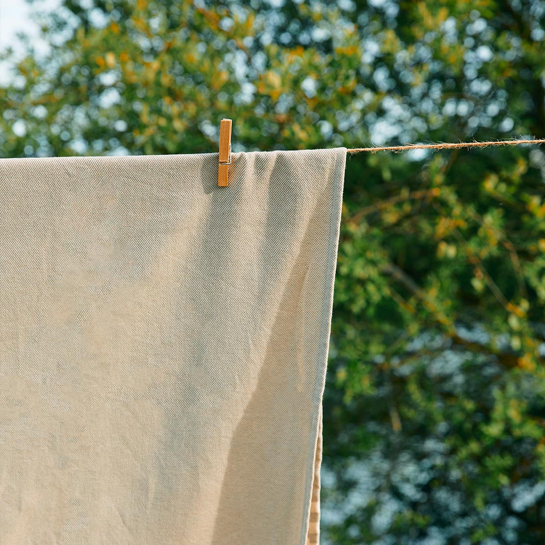 🇫🇷🌱 La fouta française